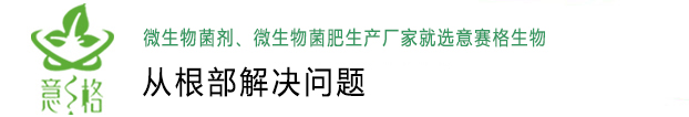 微生物菌劑,微生物菌肥,生物殺菌劑,微生物菌劑廠(chǎng)家-意賽格生物肥料