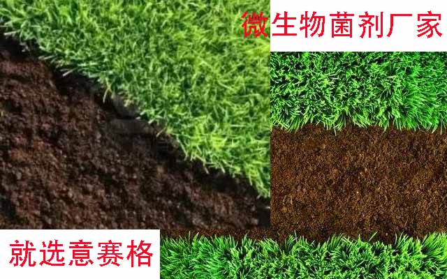 微生物菌劑有什么用？