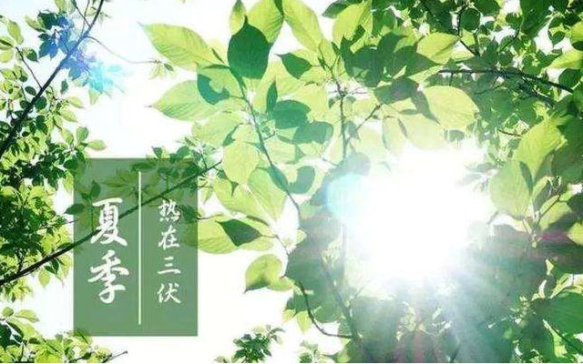 三伏天初伏已到，高溫悶熱，白粉病防治，微生物菌劑防治白粉病用起來