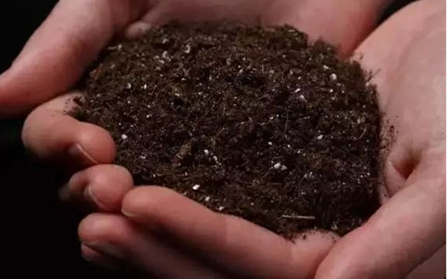 土壤調理為什么要用微生物菌劑？