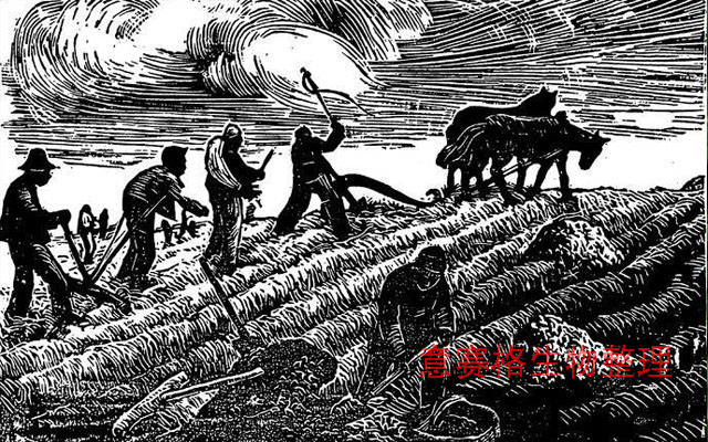 生物肥料在肥料史上的發(fā)展
