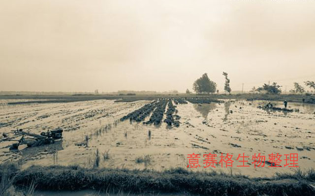 生物肥料在肥料史上的發(fā)展