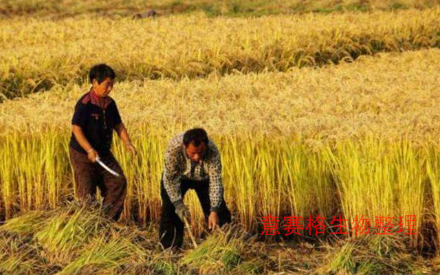 生物肥料在肥料史上的發(fā)展