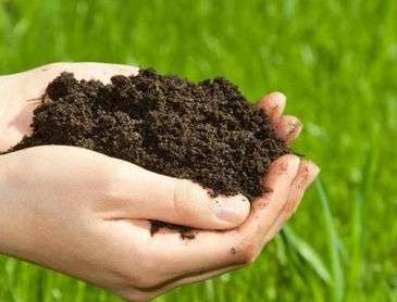 意賽格微生物菌劑廠家