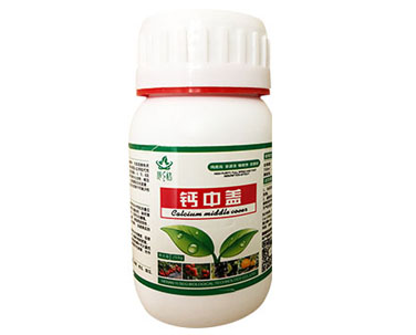 意賽格鈣中蓋