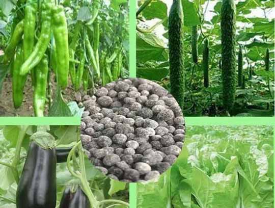 意賽格微生物菌肥使用對(duì)比