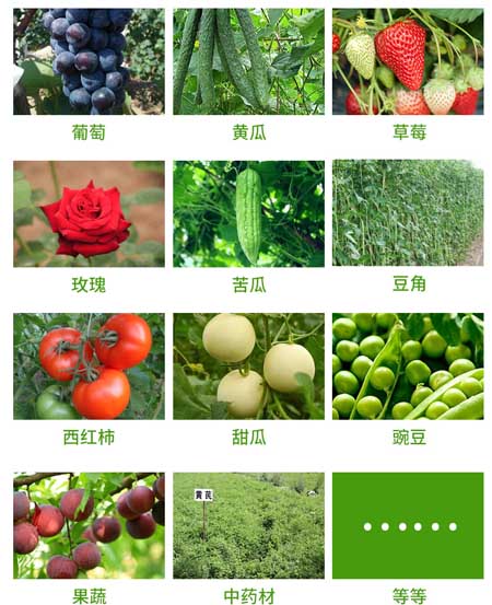 微生物菌劑適合的農(nóng)作物
