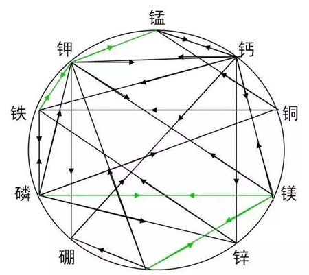 肥料之間的相生相克
