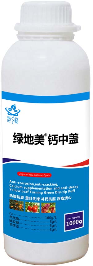 意賽格鈣中蓋
