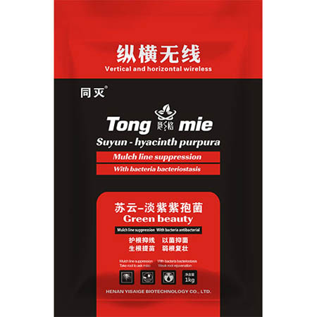 縱橫無線專治根結(jié)線蟲