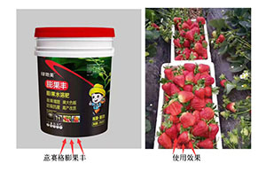 新型膨果技術(shù),不含激素,生物膨果,自然風(fēng)味