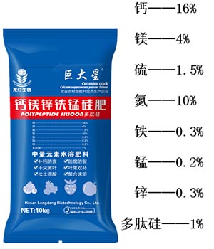 溫室番茄秋延晚無公害栽培技術(shù)