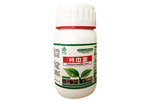 缺鈣了?鈣對您的作物來說真的很重要!下