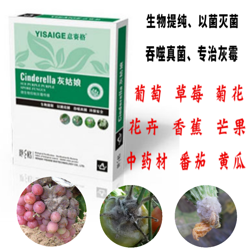 想打我個措手不及？灰霉病將不再反復(fù)!學(xué)習(xí)新技巧、巧防灰霉病！
