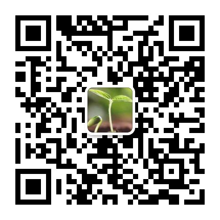 甜瓜得了白粉病，收成不好怎么辦