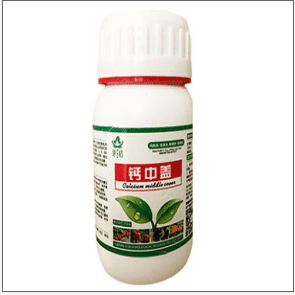 草莓缺鈣影響植株生長怎么辦？如何合理地補(bǔ)鈣