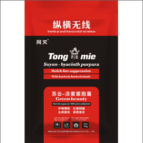柑橘秋季出現(xiàn)黃化，可能是根線蟲在作怪!