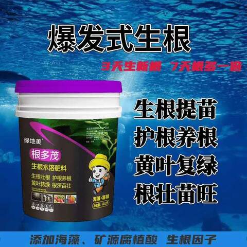 草莓生根慢怎么辦？用它